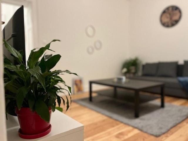 Cosy Rent-Strasbourg Gare 1-Wifi Appartamento Esterno foto