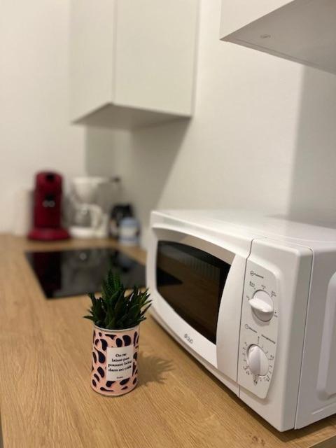 Cosy Rent-Strasbourg Gare 1-Wifi Appartamento Esterno foto
