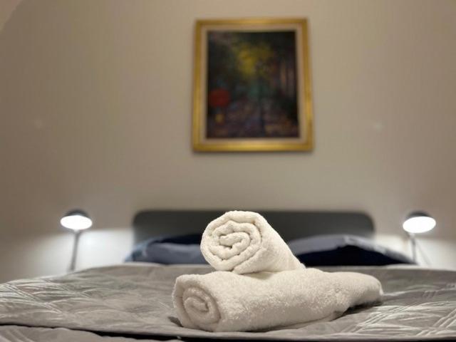 Cosy Rent-Strasbourg Gare 1-Wifi Appartamento Esterno foto