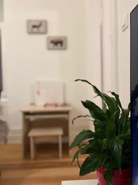 Cosy Rent-Strasbourg Gare 1-Wifi Appartamento Esterno foto